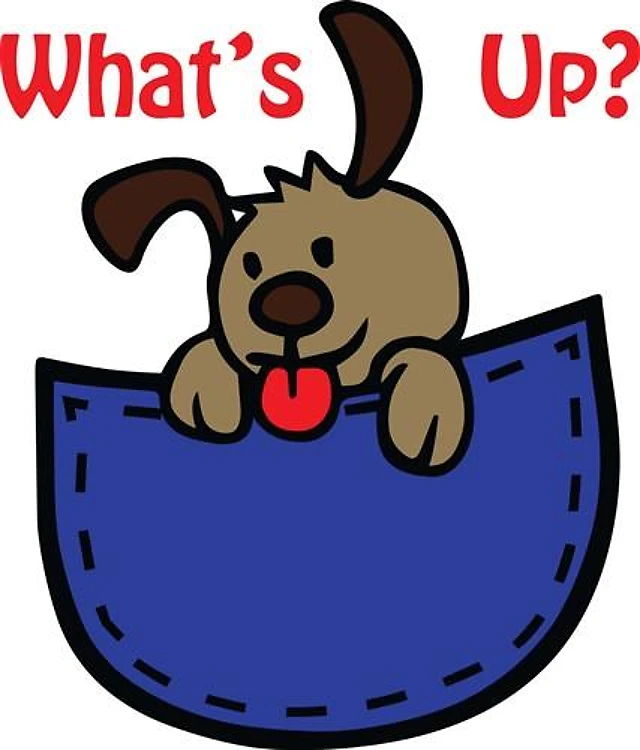 WHATS UP APPLIQUE