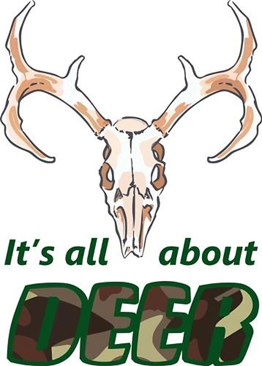 ITS ALL ABOUT DEER