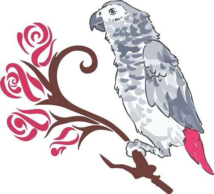 AFRICAN GREY AND ROSES