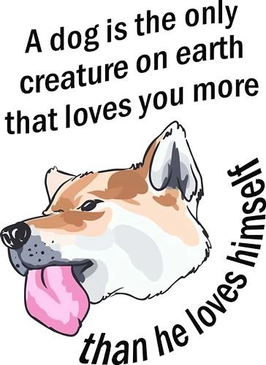 DOG LOVES YOU MORE
