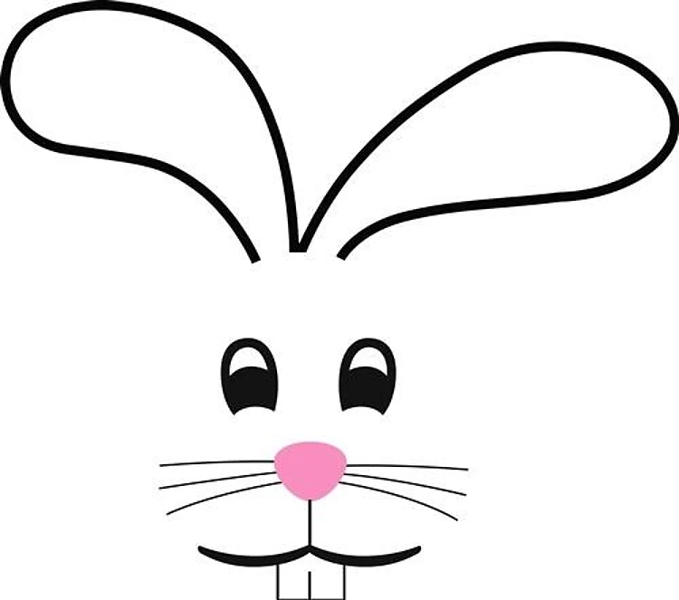 BUNNY FACE