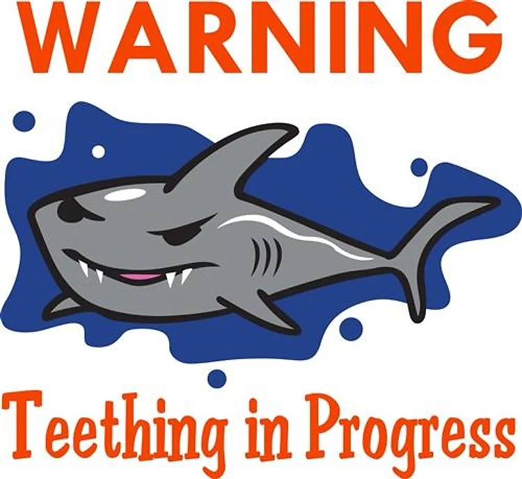TEETHING IN PROGRESS