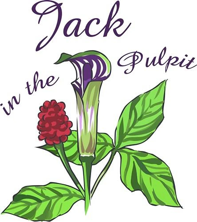 JACK IN THE PULPIT