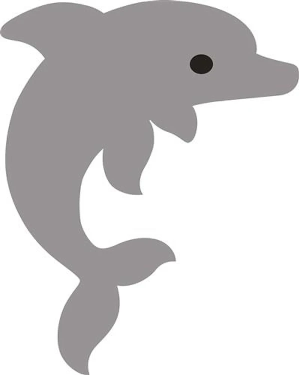 DOLPHIN MINI