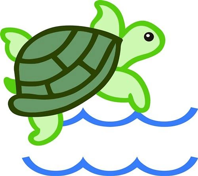 TURTLE APPLIQUE NAMEDROP