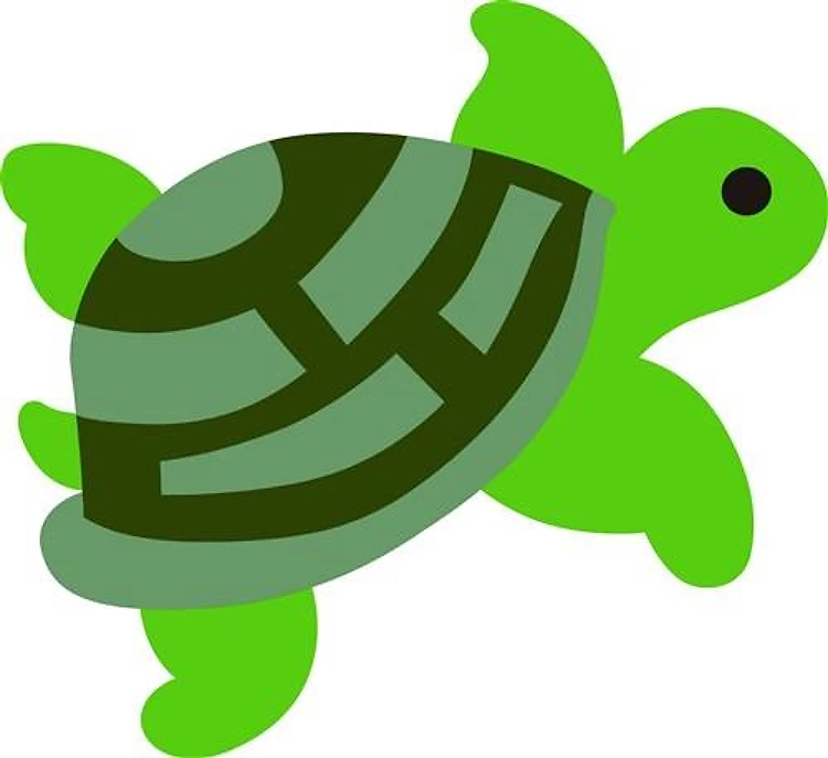 TURTLE TINY