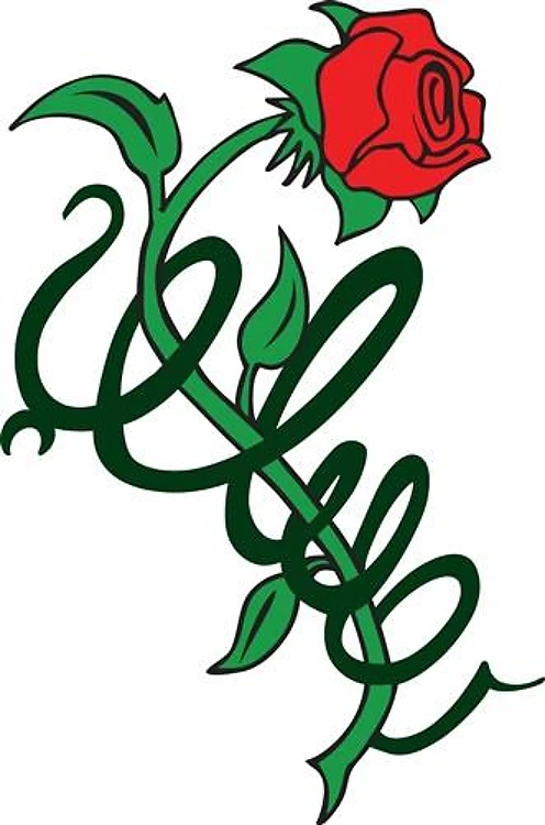 ROSE ENTWINED