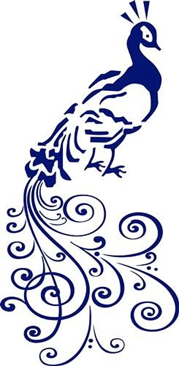 ONE COLOR PEACOCK