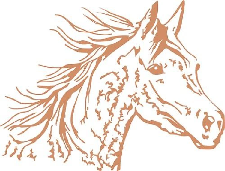 ARABIAN HORSE HEAD