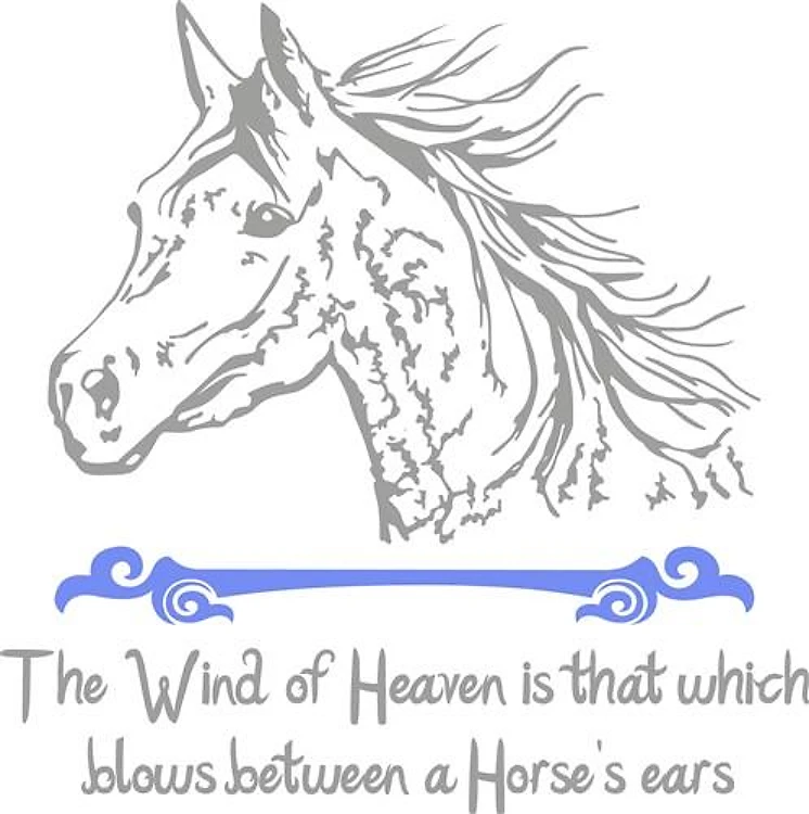 ARABIAN HORSE PROVERB