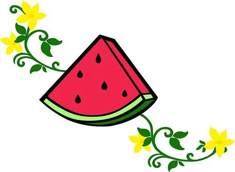 WATERMELON APPLIQUE VINES