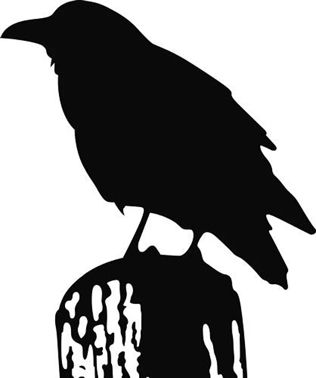 RAVEN SILHOUETTE