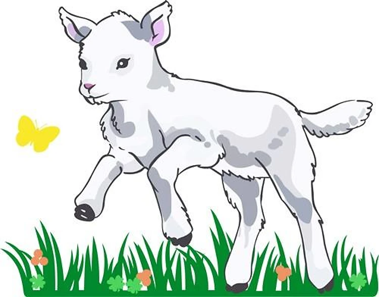 LAMB IN MEADOW