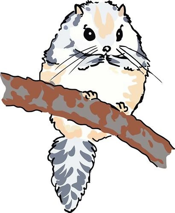 FLYING SQUIRREL