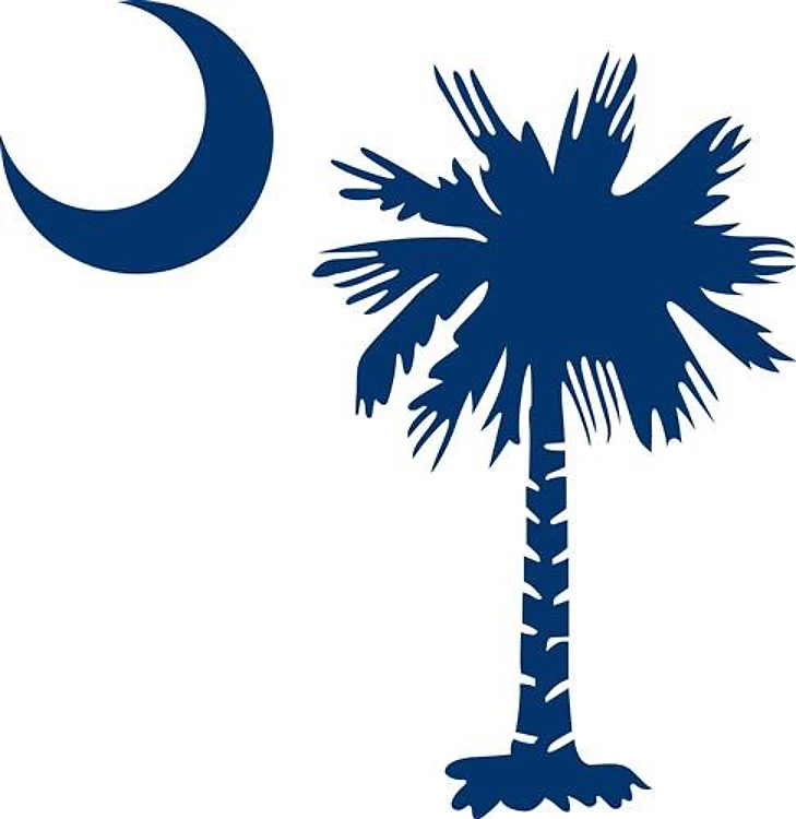 PALMETTO TREE