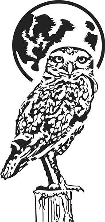 OWL WITH MOON