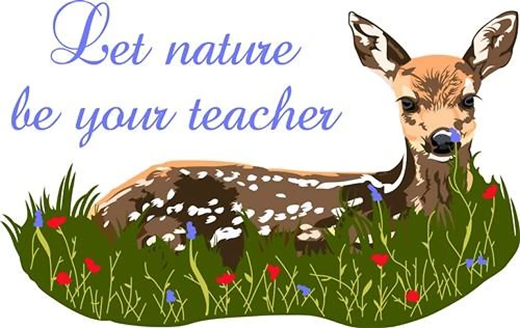 LET NATURE BE YOUR TEACHER