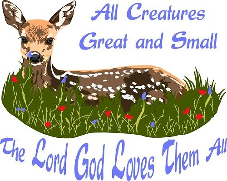 ALL CREATURES GREAT AND SMALL
