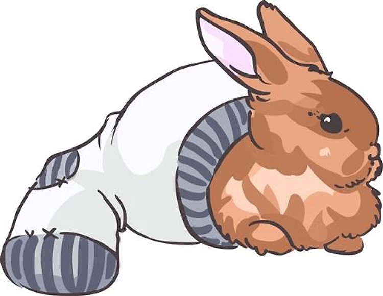 RABBIT IN SOCK