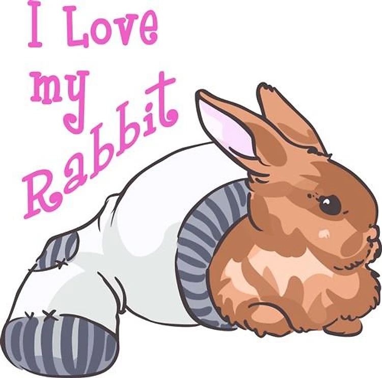 I LOVE MY RABBIT