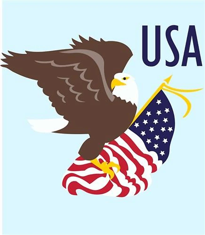 USA EAGLE AND FLAG