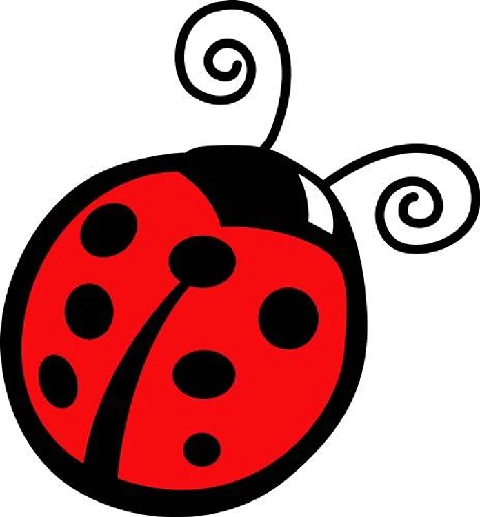 LADYBUG APPLIQUE
