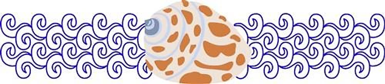 SHELL ON WAVES