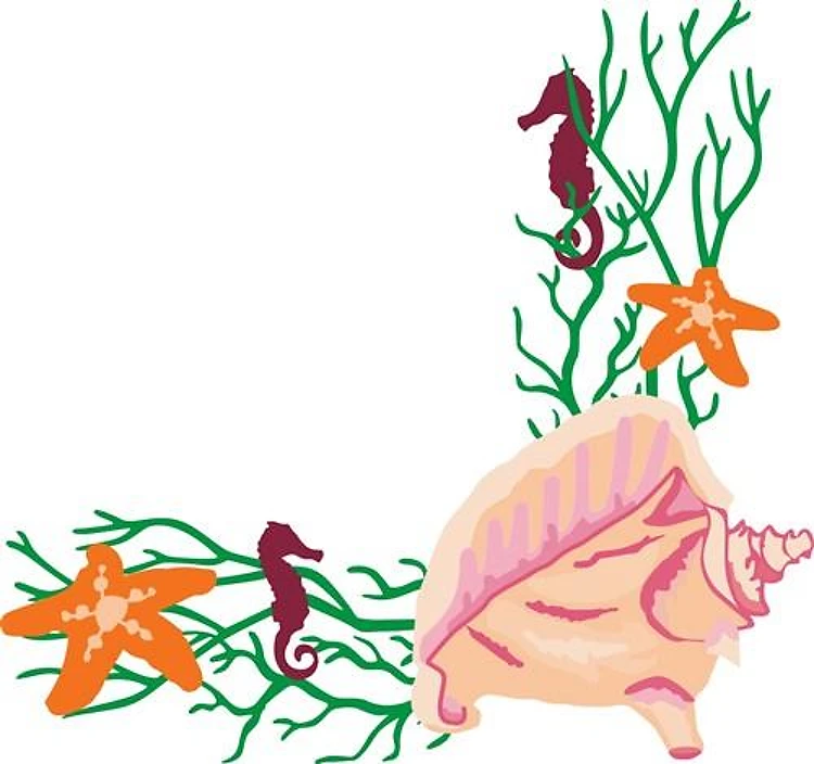 SEA LIFE CORNER BORDER