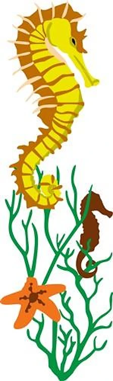 SEA LIFE BORDER