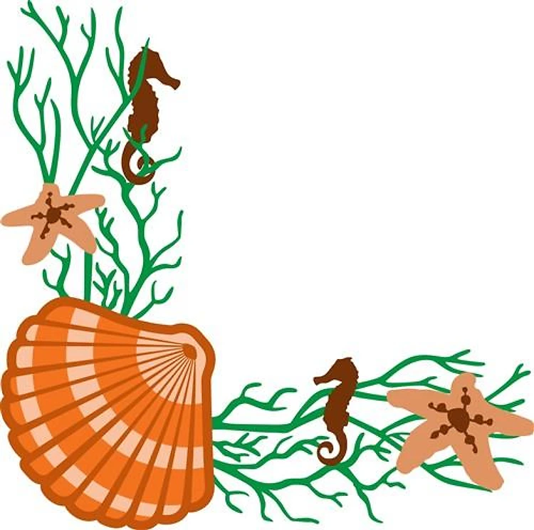 SEA LIFE CORNER BORDER
