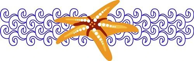 STARFISH AND WAVES
