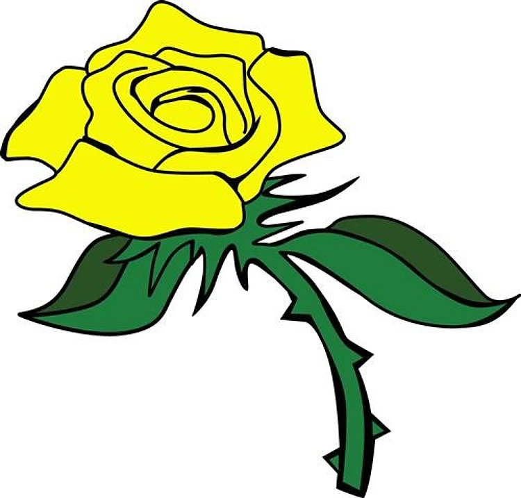 YELLOW ROSE