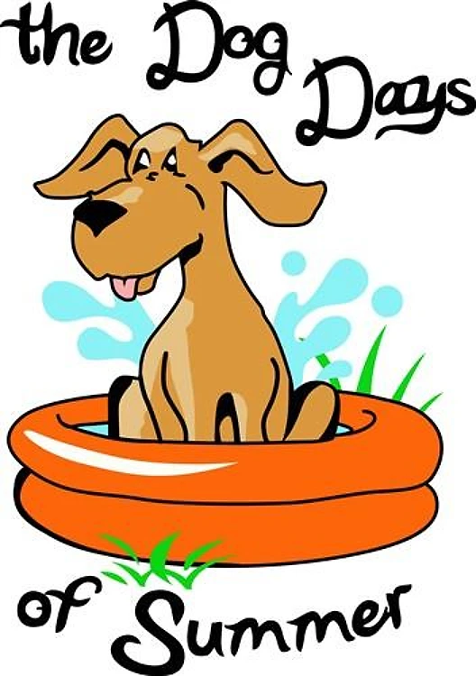 DOG DAYS OF SUMMER