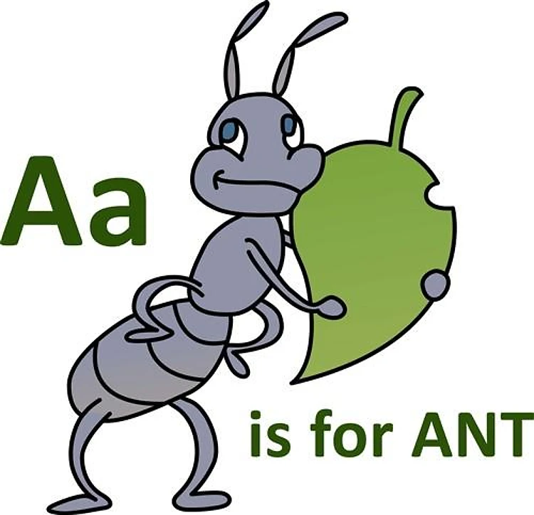 A IS FOR ANT