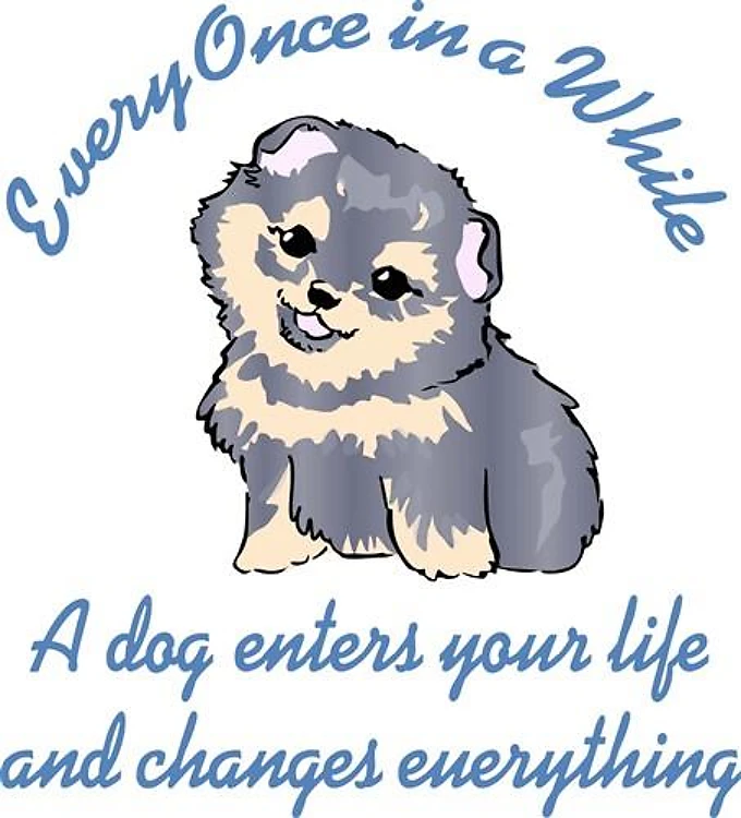 A DOG ENTERS YOUR LIFE