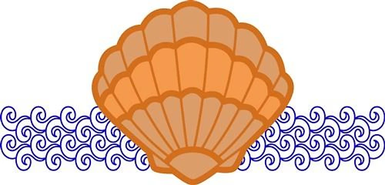 SHELL APPLIQUE ON WAVES