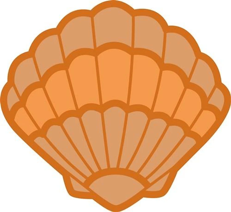 SCALLOPED SHELL APPLIQUE
