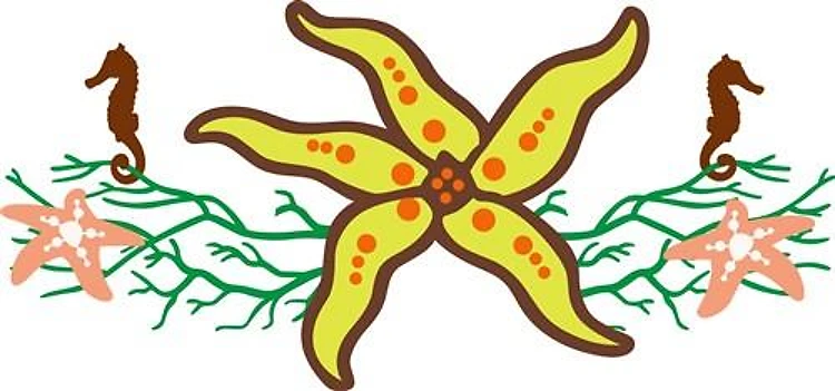 STARFISH APPLIQUE BORDER