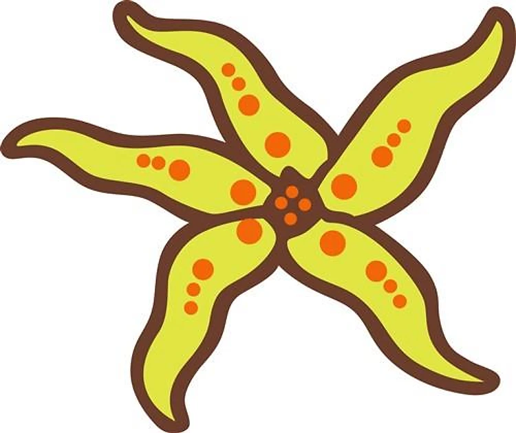 STARFISH APPLIQUE