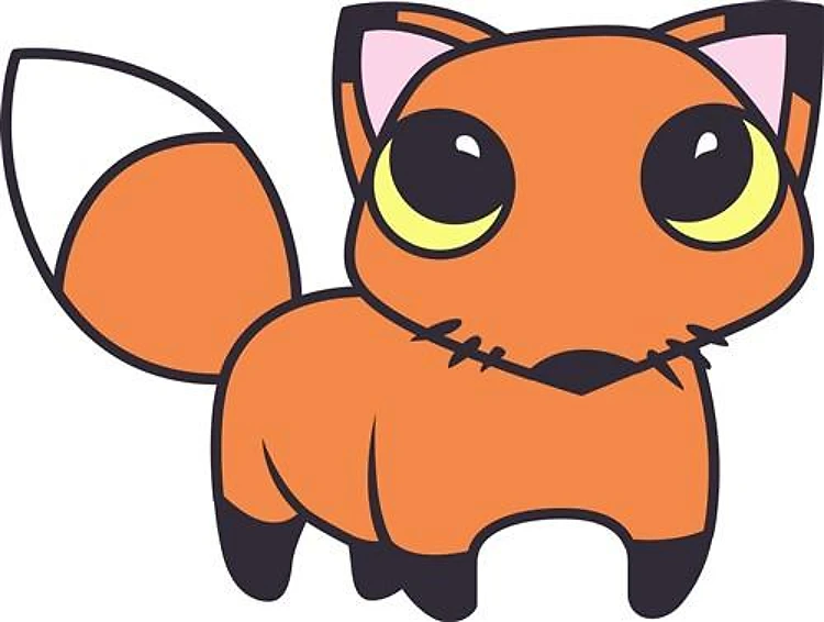 BIG EYED FOX