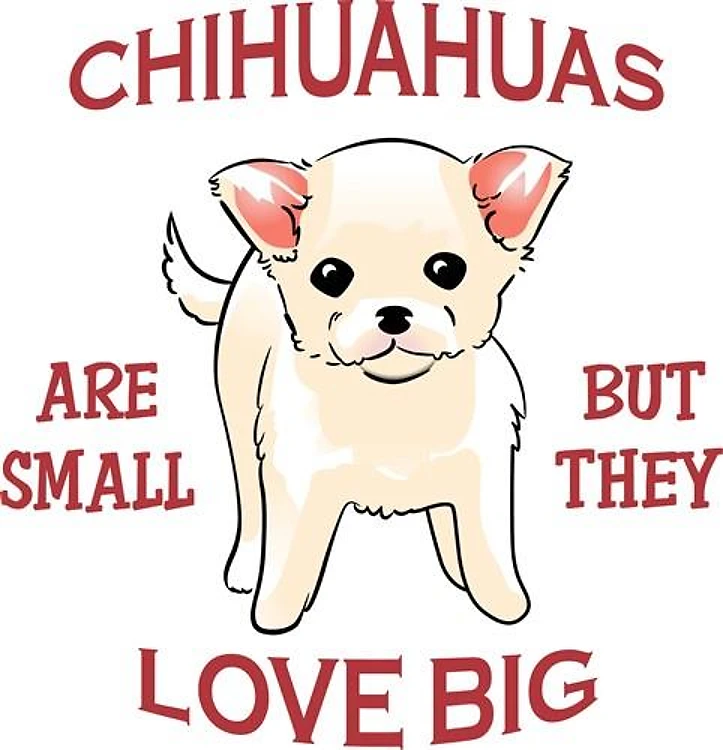 CHIHUAHUAS LOVE BIG