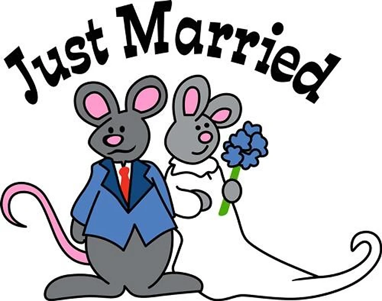 JUST MARRIED