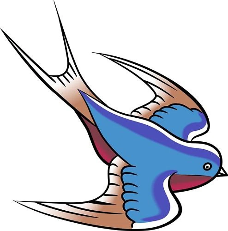 Swallow Bird