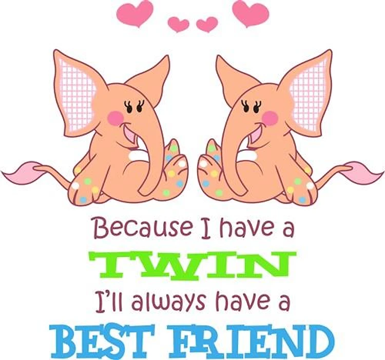 Because I Have A Twin
