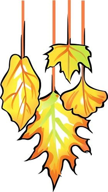 Fall Leaves