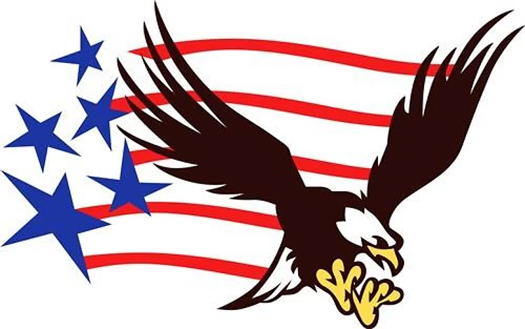 Eagle American Flag
