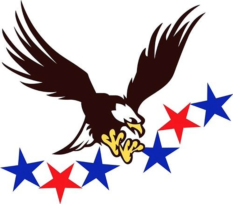 Patriotic Bald Eagle
