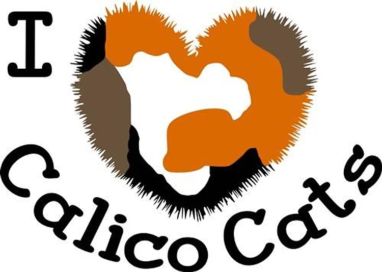 I Love Calico Cats