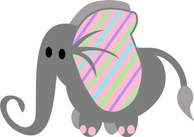 Baby Elephant