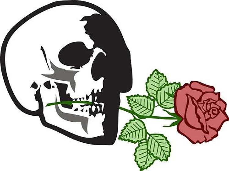 Skull Applique With Rose